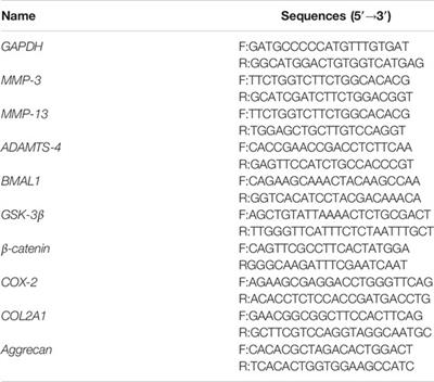 Chronic Circadian Rhythm Disturbance Accelerates Knee Cartilage Degeneration in Rats Accompanied by the Activation of the Canonical Wnt/β-Catenin Signaling Pathway